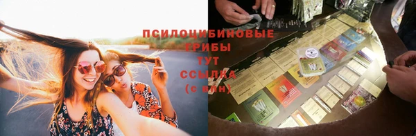 ECSTASY Алзамай