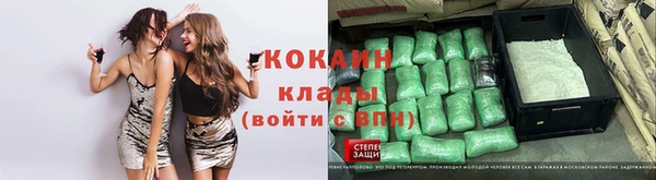 ECSTASY Алзамай