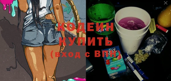 ECSTASY Алзамай