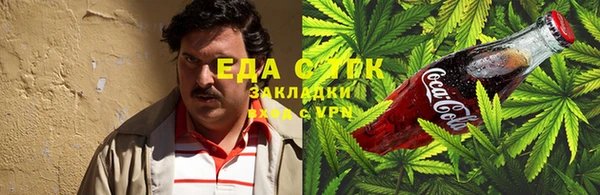 ECSTASY Алзамай