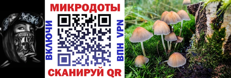 Псилоцибиновые грибы мицелий  Копейск 
