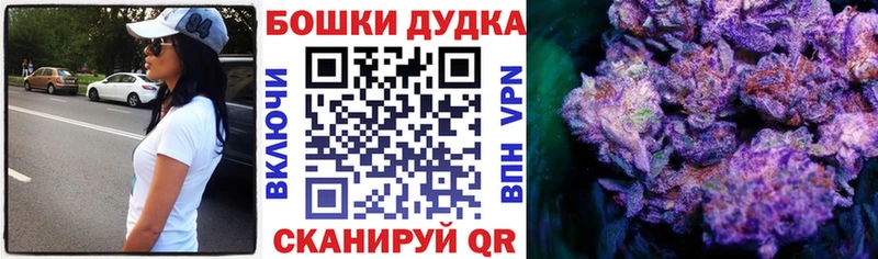 Каннабис план  купить наркотики цена  Копейск 